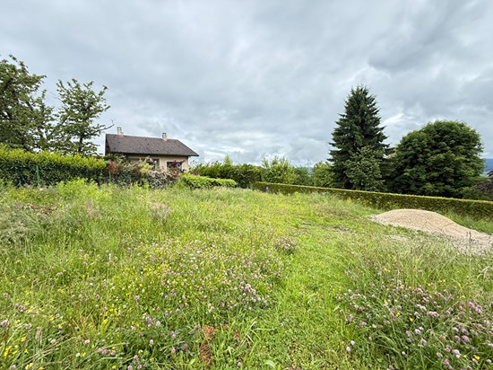 Terrain Marcellaz Albanais 477 m²