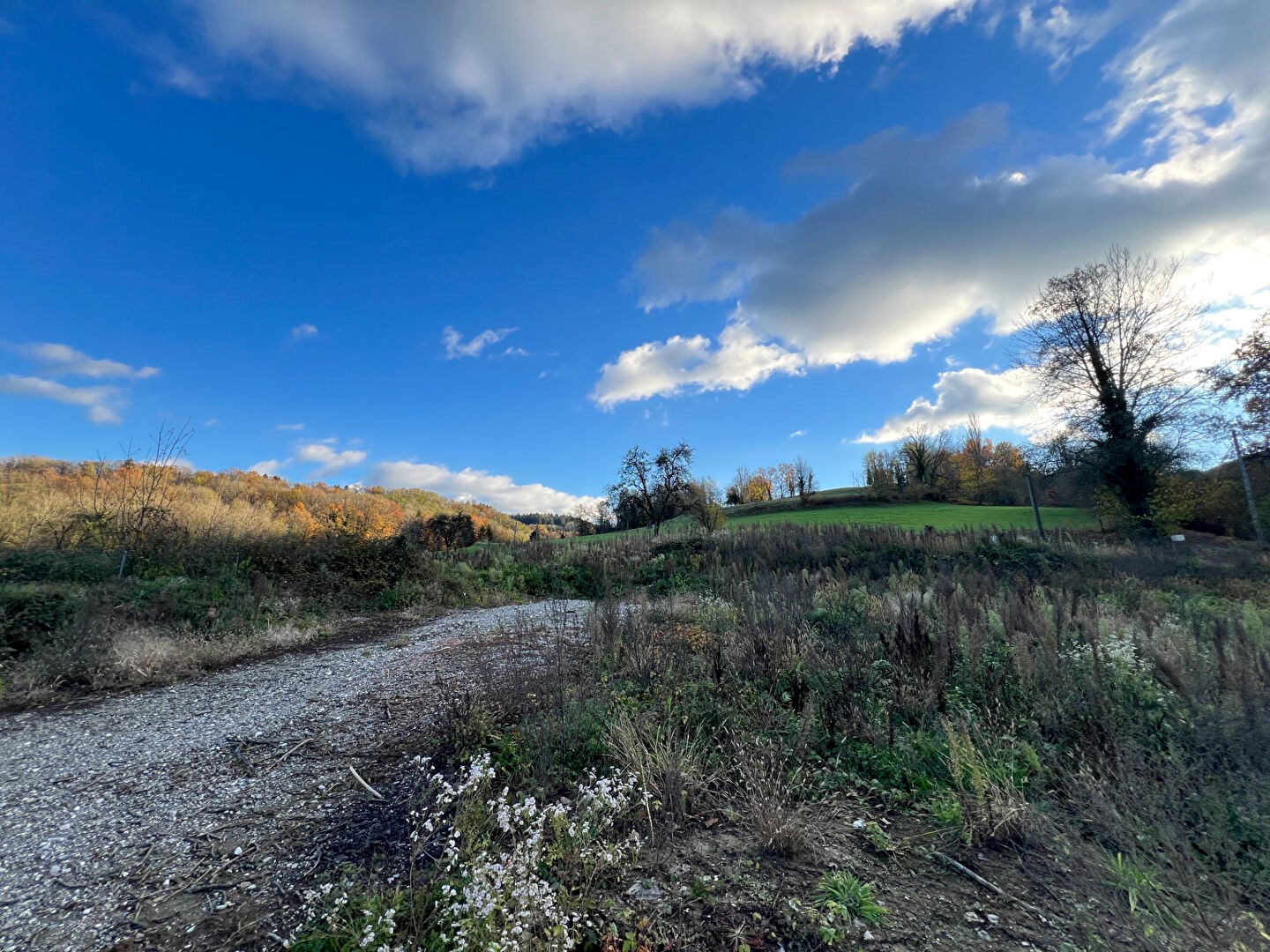 Terrain 1 244 m²
