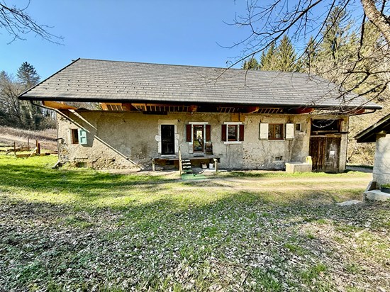 Ancien moulin à rénover - Un havre de paix au coeur de la nature à Thusy