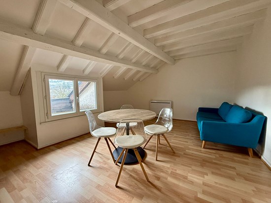 Appartement trois pièces et combles aménageables