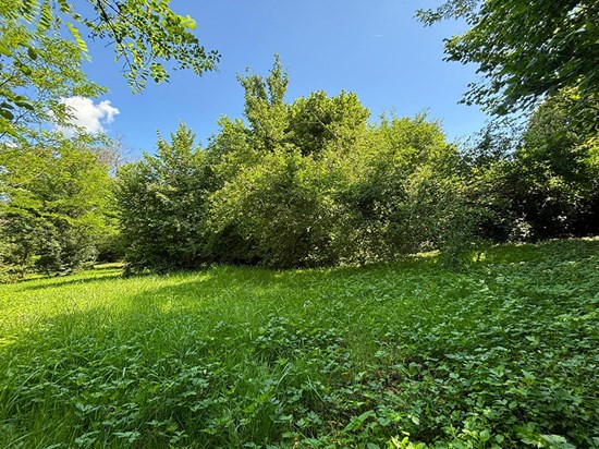 Terrain Sales 492 m2